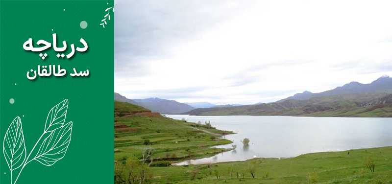 دریاچه سد طالقان دریاچه سد طالقان