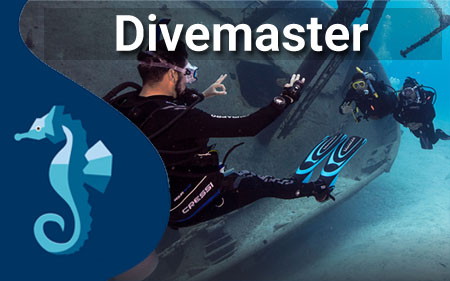 دایو مستر  Divemaster