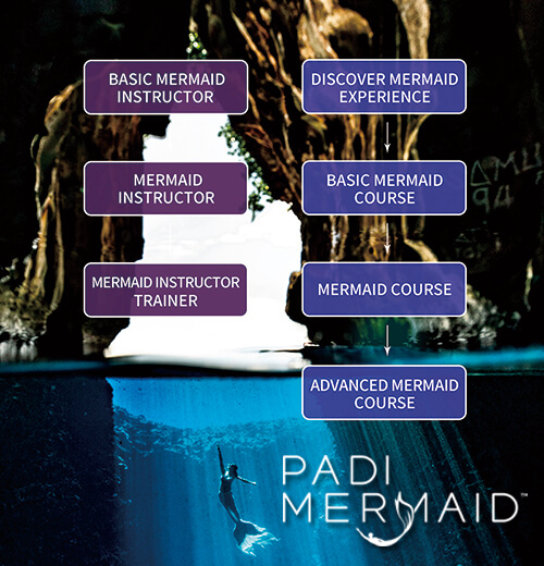 دوره های غواصی پدی