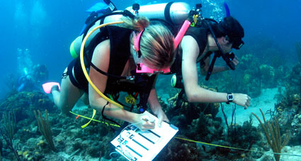 دوره غواصی برای دانشجویان رشته زیست شناسی گرایش دریا