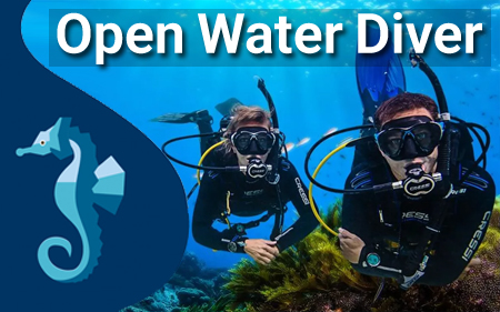  اپن واتر دایور Open Water Diver